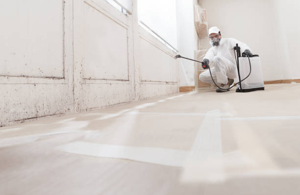 24/7 Emergency Basement Mold Remediation experts in Oak Ridge, TN